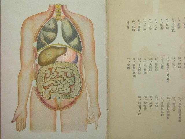 1924년 의서 연년익수(延年益壽) 1책완질