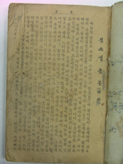 신소설 춘몽(春夢)