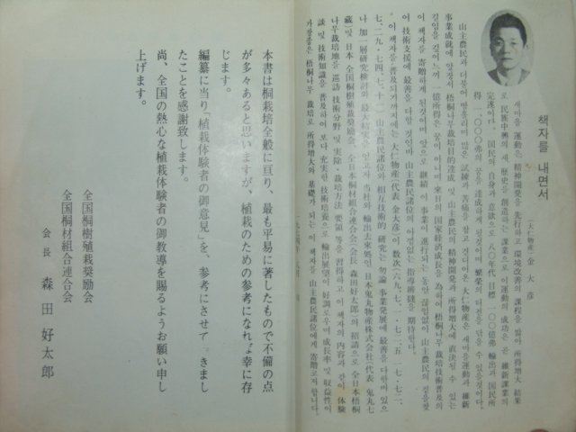 1974년 산림(山林)임업관련 오동나무