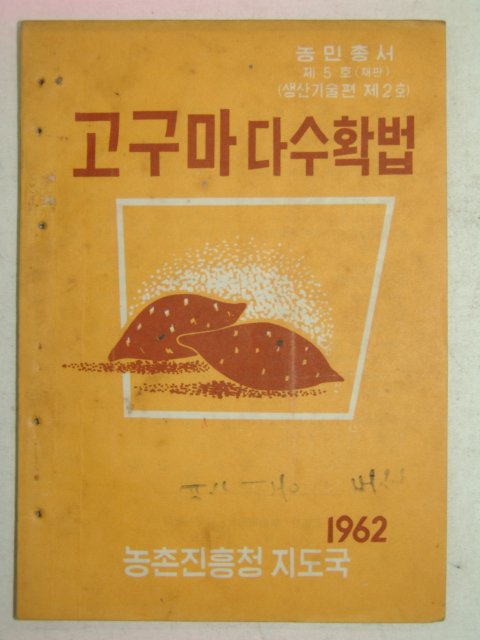 1962년 고구마 다수확법