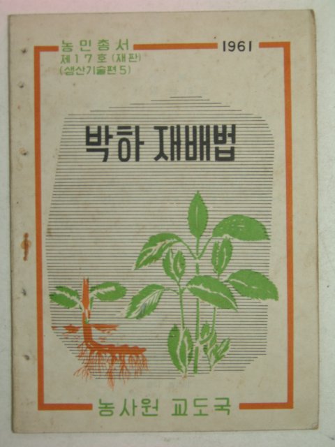 1961년 박하재배법