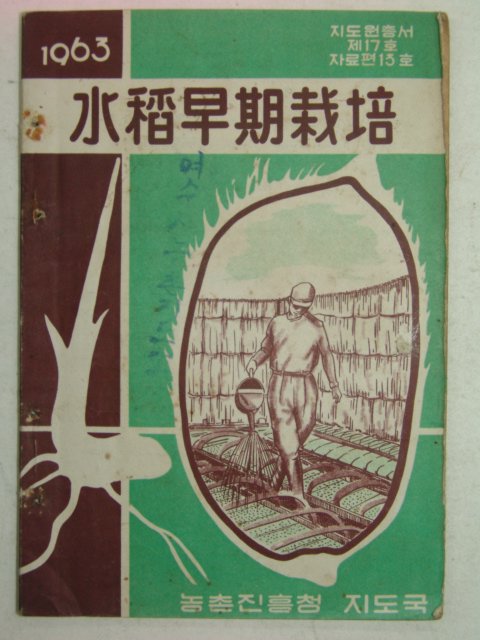 1963년 수도조기재배(水稻早期栽培)