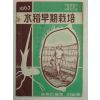 1963년 수도조기재배(水稻早期栽培)