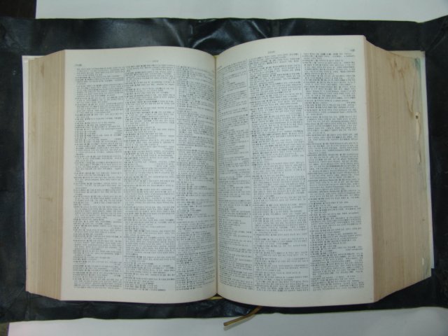 1986년 국어대사전