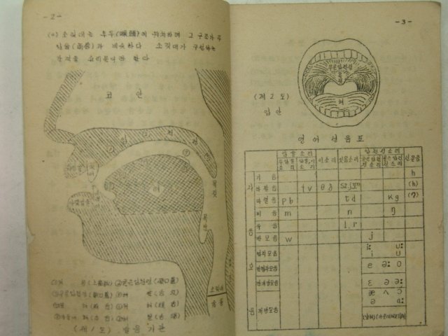 해방직후 철필본 대구중학교 영어발음법