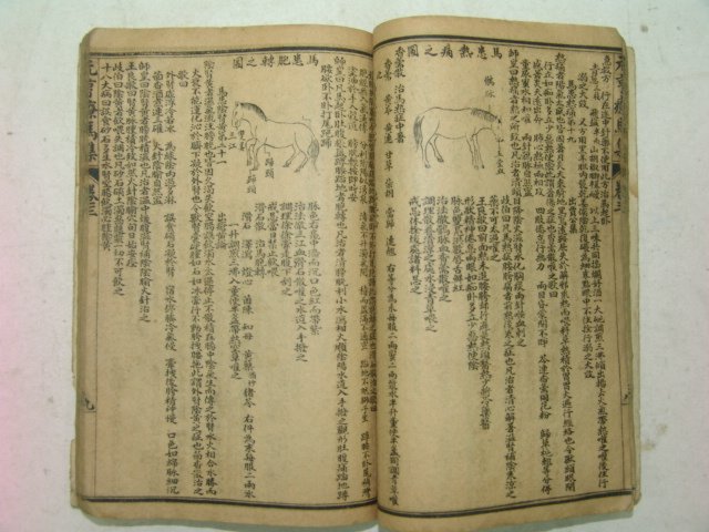 중국상해본 원형요마집(元亨療馬集)4책합본 1책완질