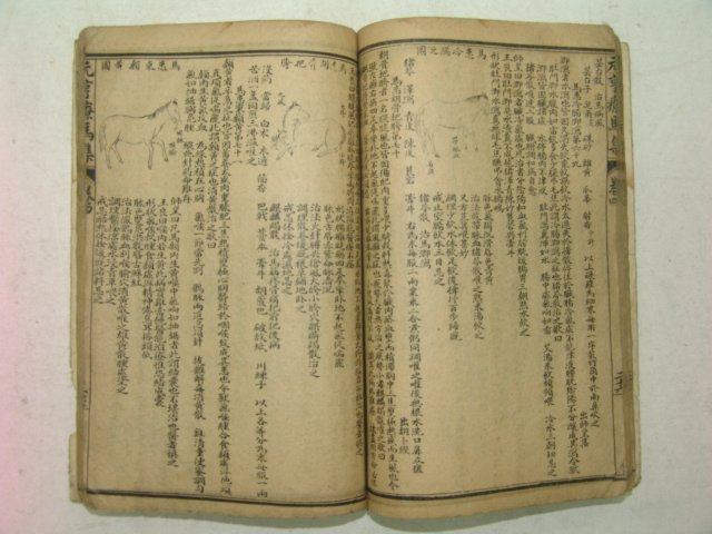 중국상해본 원형요마집(元亨療馬集)4책합본 1책완질