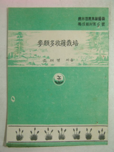 1954년 조재영 맥류다수확재배