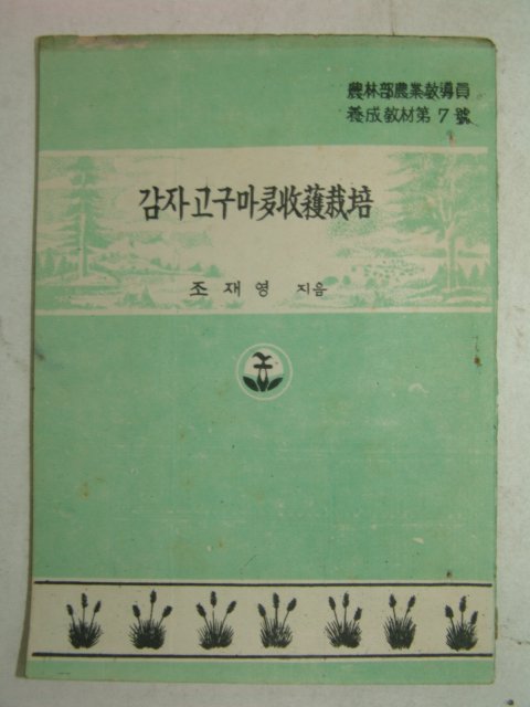 1954년 조재영 감자고구마다수확재배