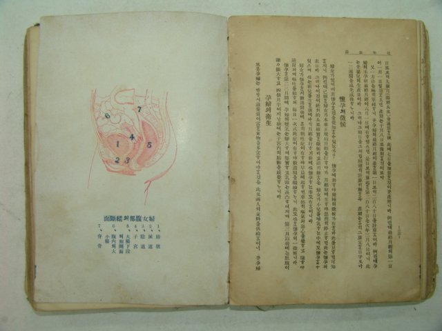 1924년 의서 연년익수(延年益壽) 1책완질