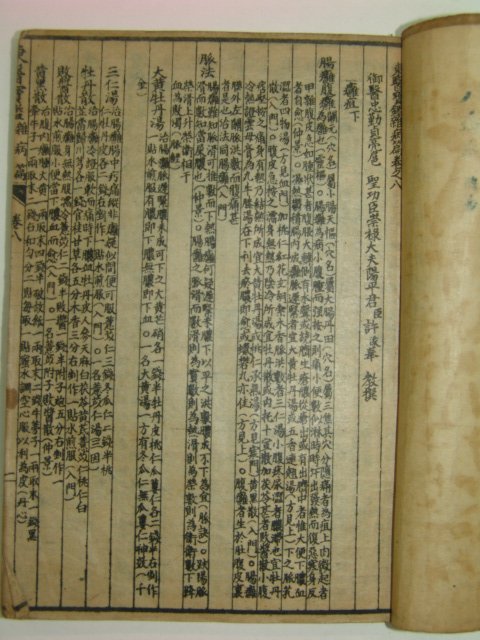 중국석판본 동의보감(東醫寶鑑) 잡병편 권8,9 1책
