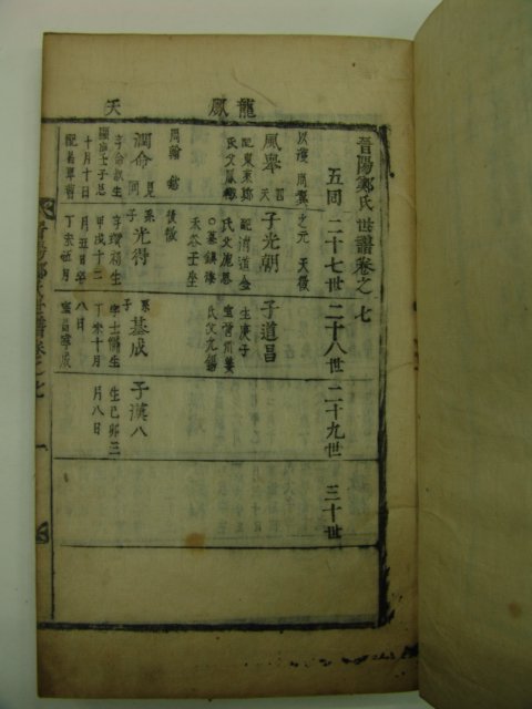1876년(병자보) 진양정씨족보(晉陽鄭氏族譜) 3책