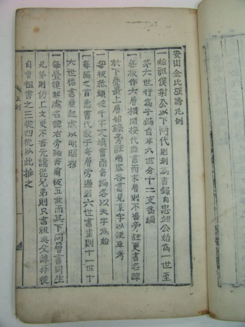 1815년 강진죽사재중간 안산김씨족보(安山金氏族譜)상하 2책완질