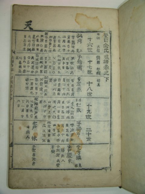 1815년 강진죽사재중간 안산김씨족보(安山金氏族譜)상하 2책완질