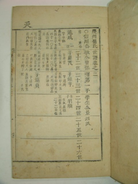 1817년 목활자본 경주최씨세보(慶州崔氏世譜) 5책완질