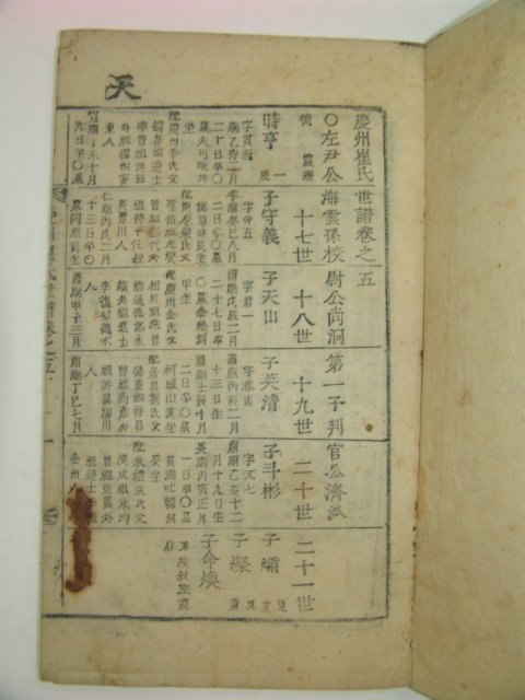 1817년 목활자본 경주최씨세보(慶州崔氏世譜) 5책완질