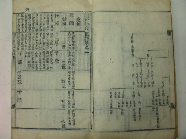 1924년 목활자본 장흥임씨족보(長興任氏族譜) 14책