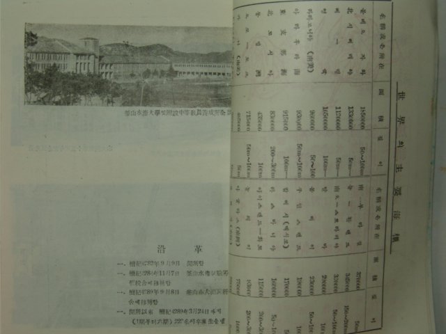 1956년 부산수산대학 어화(漁火) 창간호
