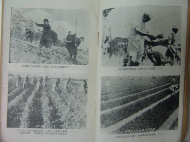 1941년 조선농업(朝鮮農業)&道