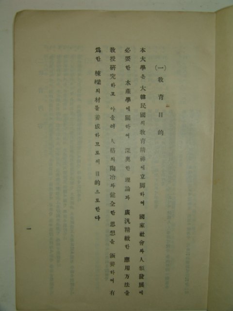 1956년 부산수산대학요람