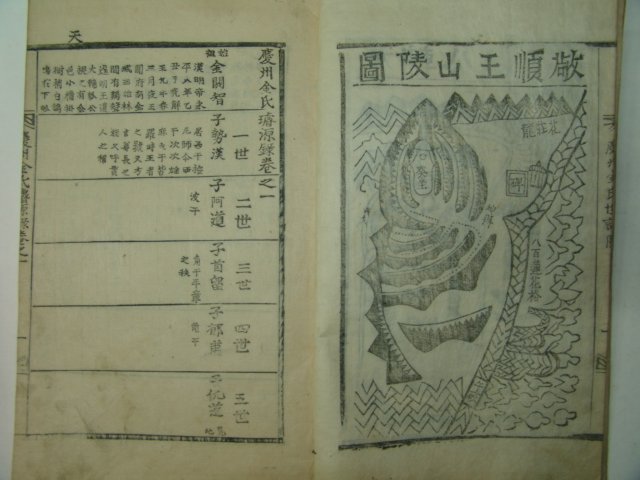 1901년 장흥청룡정사개간 경주김씨세보(慶州金氏世譜)6책완질