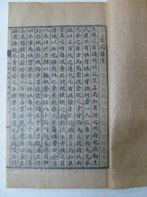 1955년 부안임씨대동보(扶安林氏大同譜) 11책완질