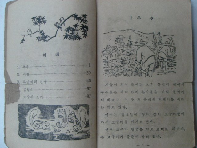 1954년 셈본 5-2