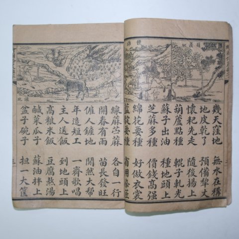 중국상해본 회도속언잡자(繪圖俗言雜字) 1책완질