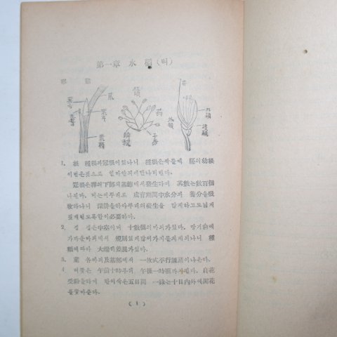 1947년 중등작물학