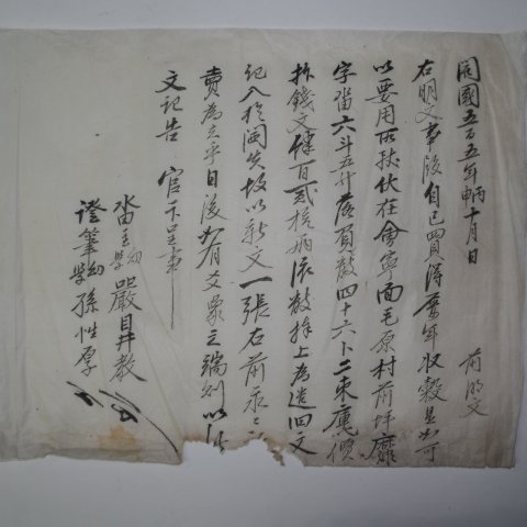 1896년(개국505년) 논(畓) 매매문서