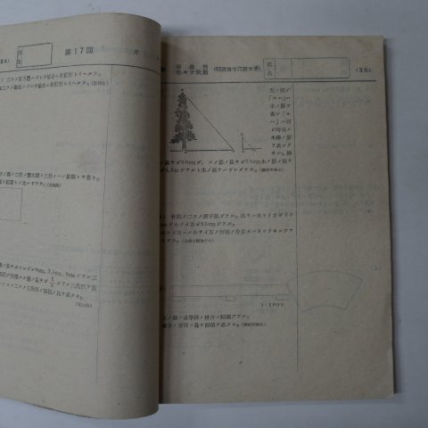 1942년 조선교육신문사 국민학교6학년 흥아산수실격연성장