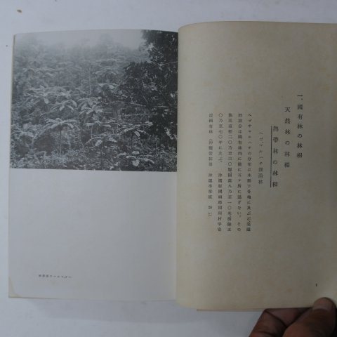 1936년 日本刊 국유림(國有林) 상하 2책완질
