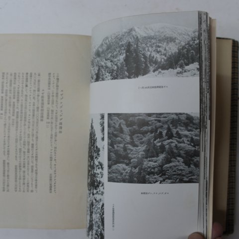 1936년 日本刊 국유림(國有林) 상하 2책완질