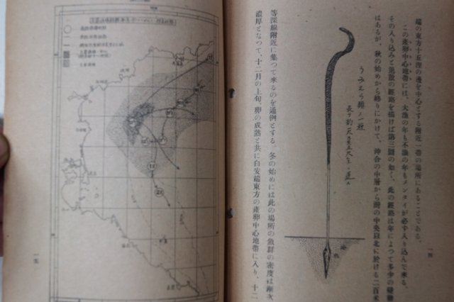 1943년 조선 어업