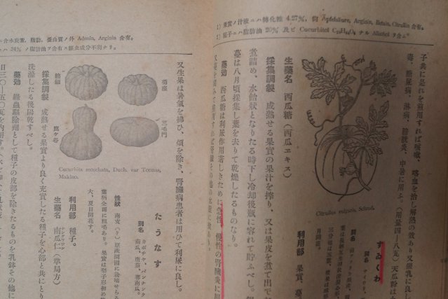 1943년 日本刊 약용식물교본(藥用植物敎本)
