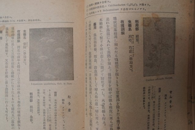 1943년 日本刊 약용식물교본(藥用植物敎本)