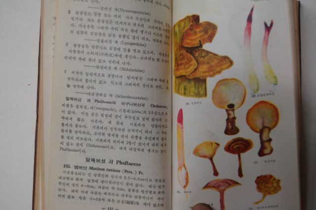 1959년 원색한국버섯도감