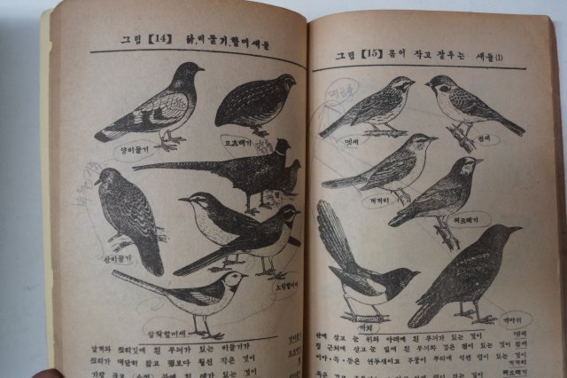 1949년 최기철(崔基哲) 보통동물오백종수록 학생 동물도보(動物圖譜)