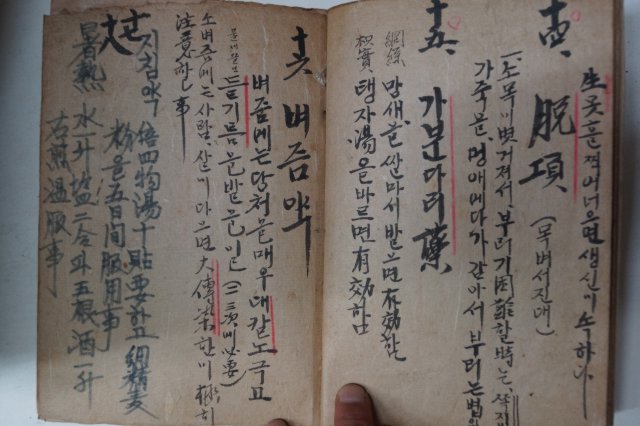 1921년 국한문혼용필사본 牛病治療編(우병치료편)