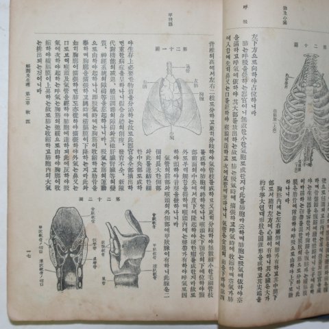 1927년 경성 신의학요강(新醫學要鑑) 1책완질