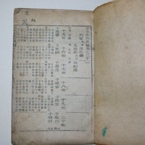 목활자본 안동김씨세보(安東金氏世譜)권21 1책