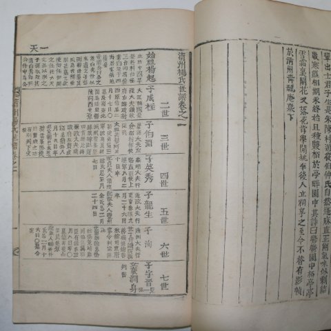 1868년 청주양씨세보(淸州楊氏世譜) 16책완질