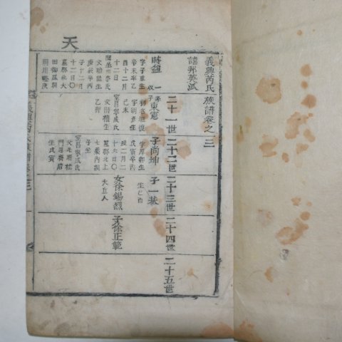 목활자본 의흥예씨족보(義興芮氏族譜)권2,3 2책