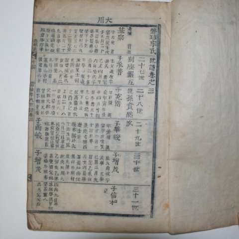 목활자본 벽진이씨세보(碧珍李氏世譜)권3 1책
