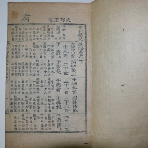 조선시대 목활자본 중화양씨족보(中和楊氏世譜)상하2책완질