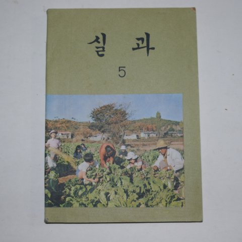 1981년 실과 5