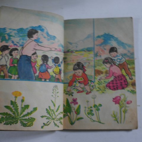 1969년 자연 1-1