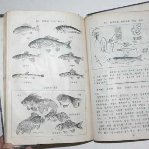 1954년 박만규 생물도감