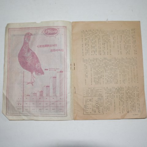 1957년 순간개척(旬刊開拓) 2월1일호