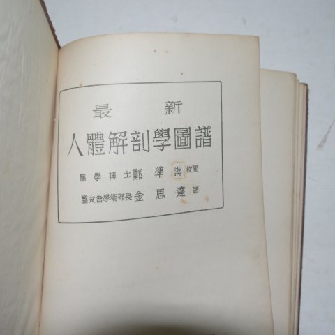 1955년 김사달(金思達) 인체해부도